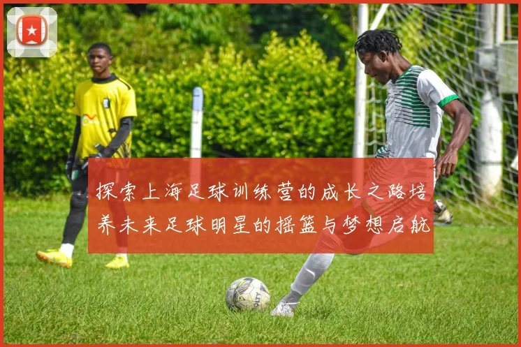 探索上海足球训练营的成长之路培养未来足球明星的摇篮与梦想启航地