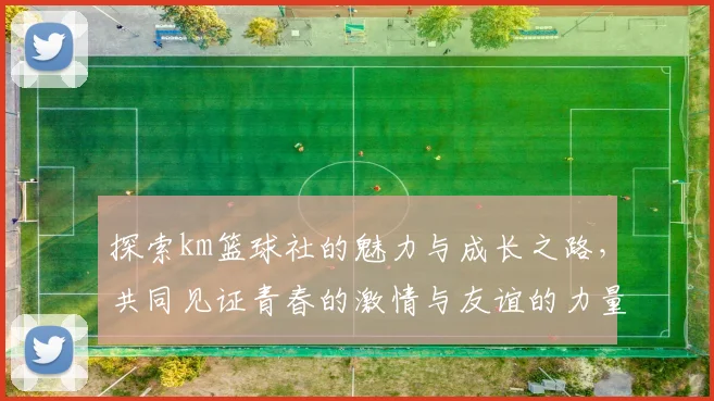 探索km篮球社的魅力与成长之路，共同见证青春的激情与友谊的力量