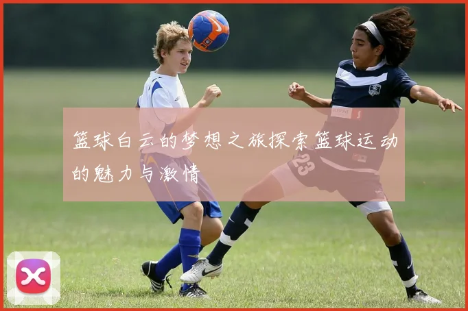 篮球白云的梦想之旅探索篮球运动的魅力与激情