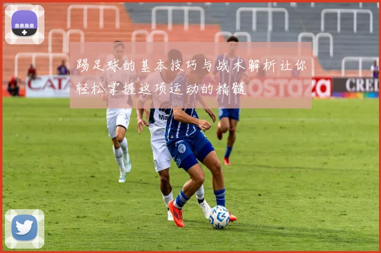 踢足球的基本技巧与战术解析让你轻松掌握这项运动的精髓