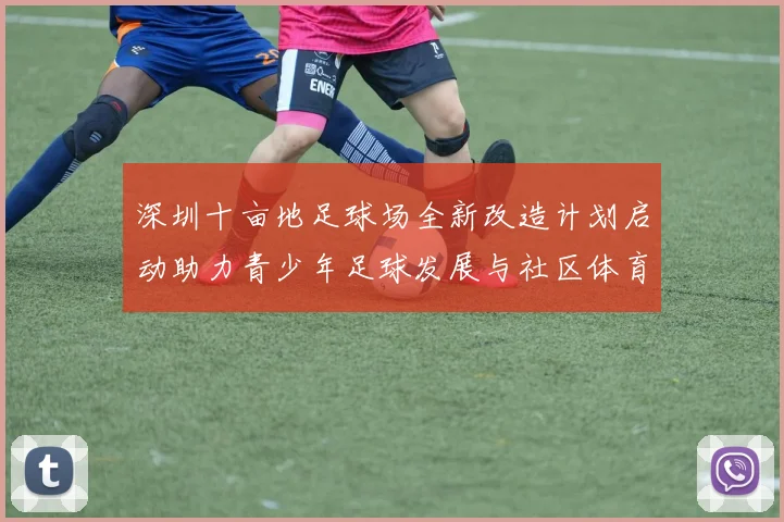 深圳十亩地足球场全新改造计划启动助力青少年足球发展与社区体育活动提升